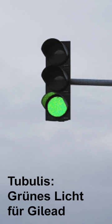 Lights